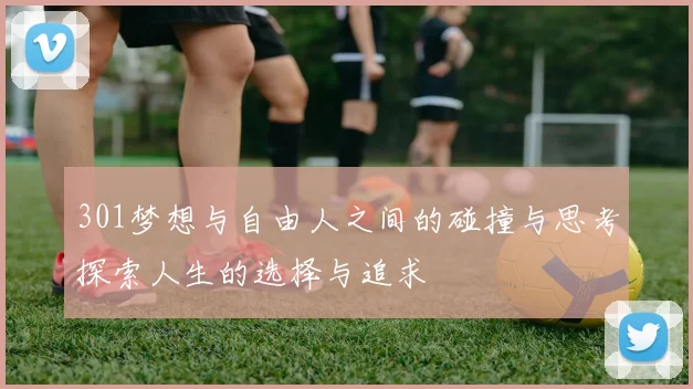 301梦想与自由人之间的碰撞与思考探索人生的选择与追求