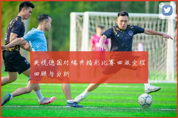 央视德国对瑞典精彩比赛回放全程回顾与分析
