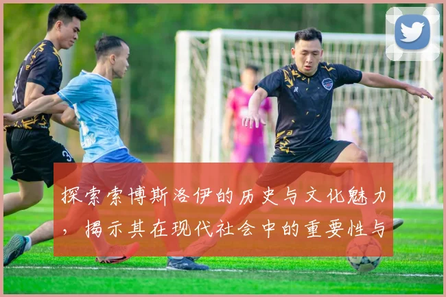 探索索博斯洛伊的历史与文化魅力，揭示其在现代社会中的重要性与影响力