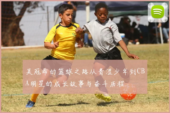 吴冠希的篮球之路从青涩少年到CBA明星的成长故事与奋斗历程