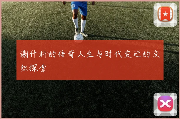 谢什科的传奇人生与时代变迁的交织探索