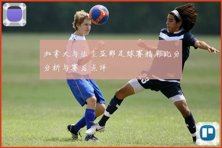 加拿大与法圭亚那足球赛精彩比分分析与赛后点评