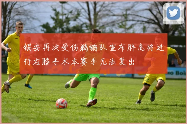 锡安再次受伤鹈鹕队宣布胖虎将进行右膝手术本赛季无法复出