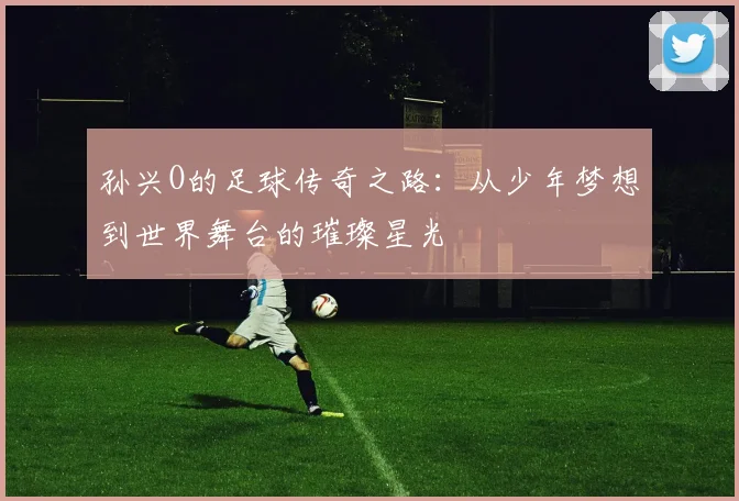 孙兴O的足球传奇之路：从少年梦想到世界舞台的璀璨星光